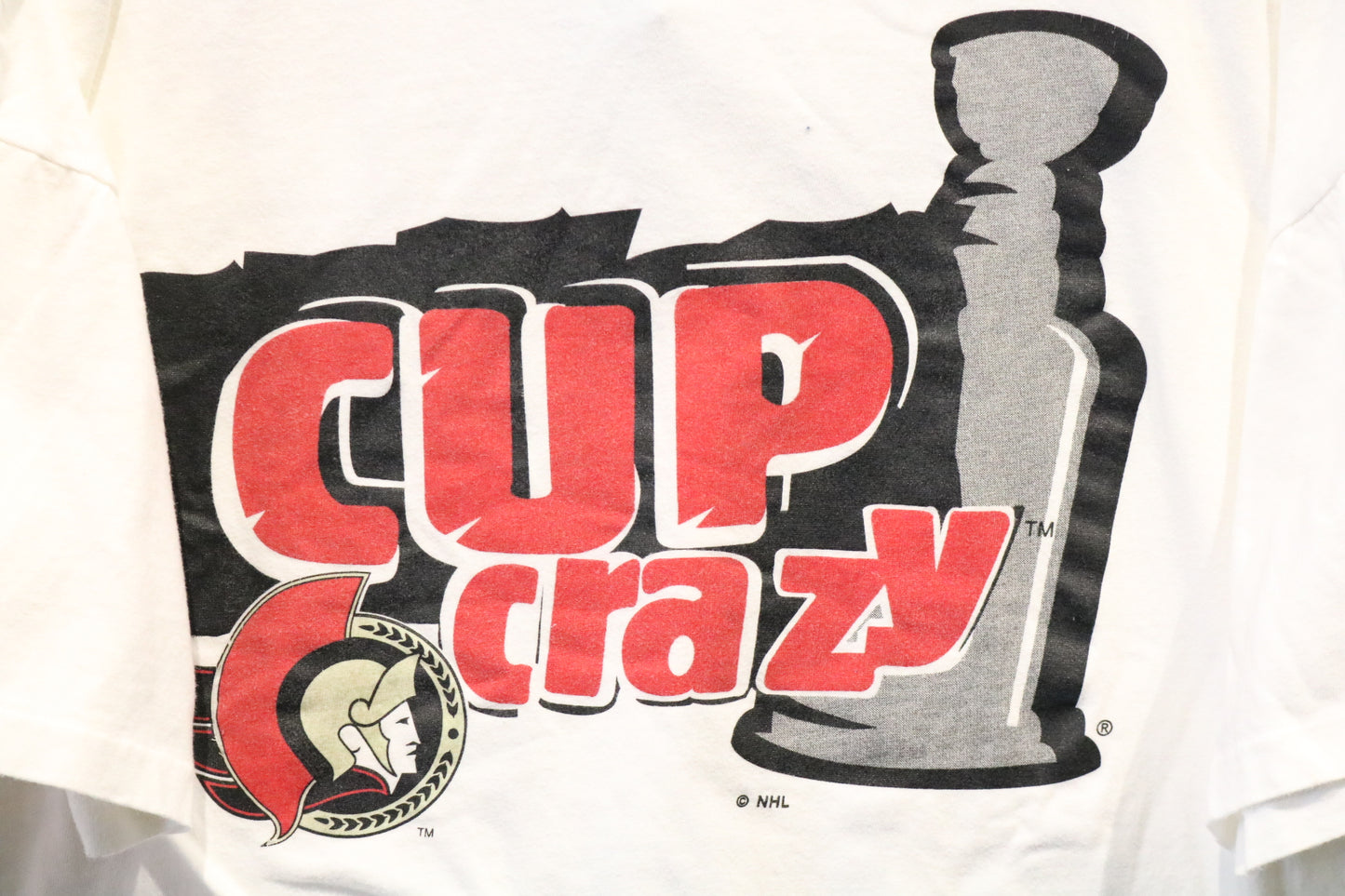 Starter Ottawa-Senators T-Shirt | Vintage 2000s NHL Playoff Graphic Tee | Ottawa Hockey Fan Shirt