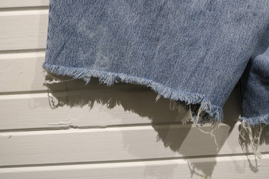 Levi's Silver-Tab Jean Shorts | Vintage Baggy Cutoff Denim Jorts | Frayed Hem 90s Style Summer Shorts