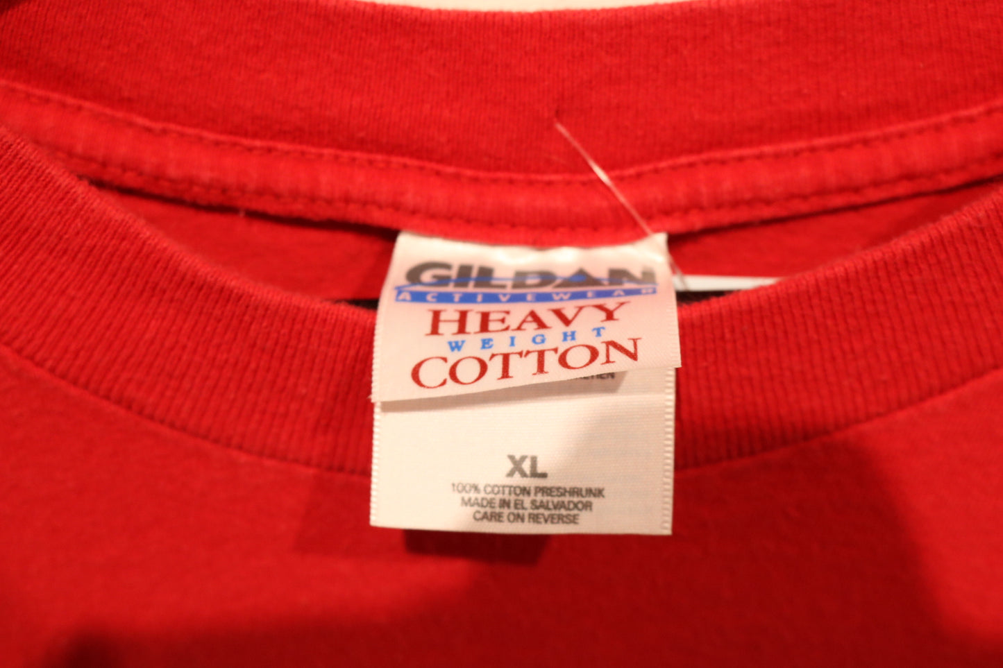 Detroit-Red-Wings T-Shirt | Vintage 1998 Stanley Cup Champions Graphic Tee | NHL Hockey Fan Apparel