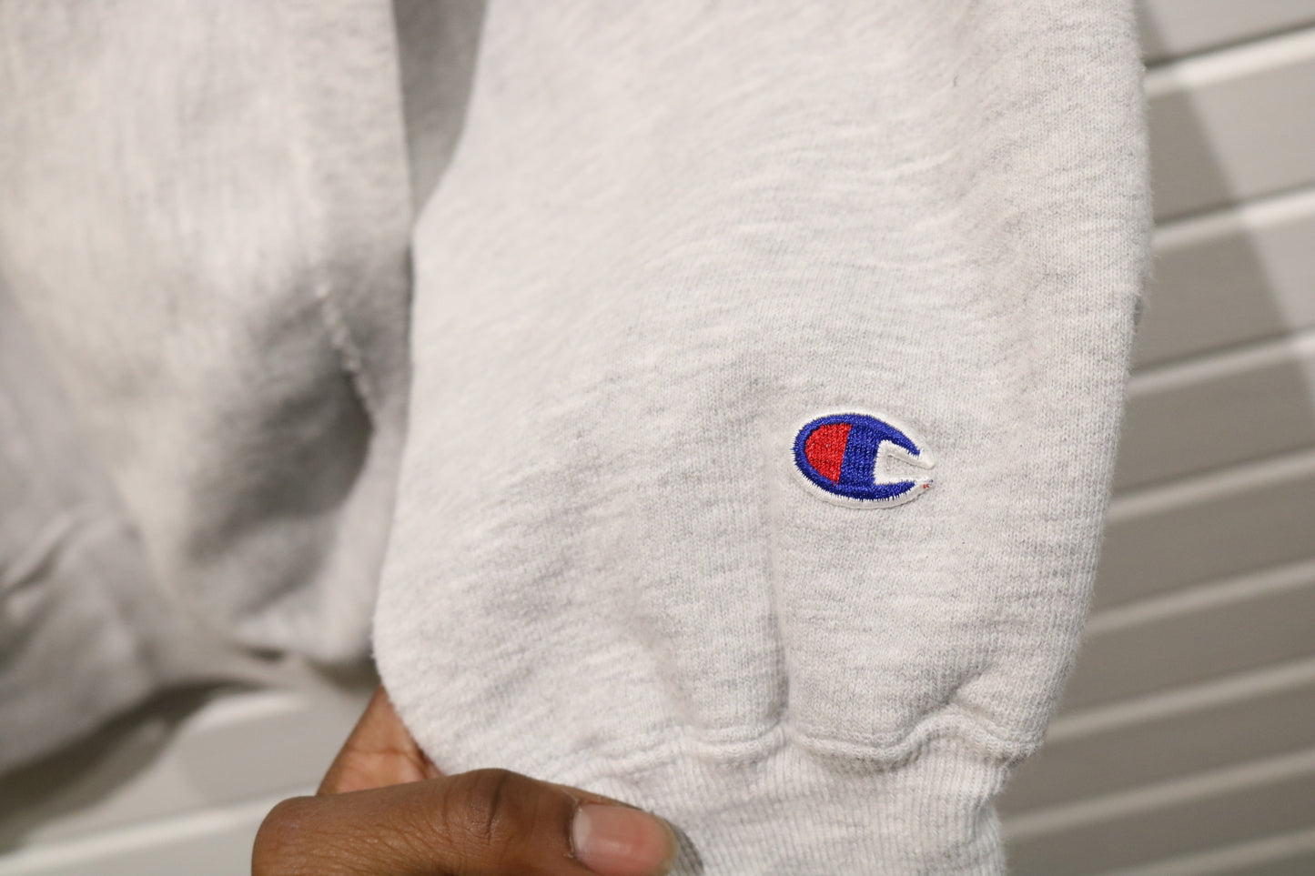Champion Albion-College Sweatshirt | Vintage 90s Collegiate Graphic Crewneck | Classic Athletic Pullover