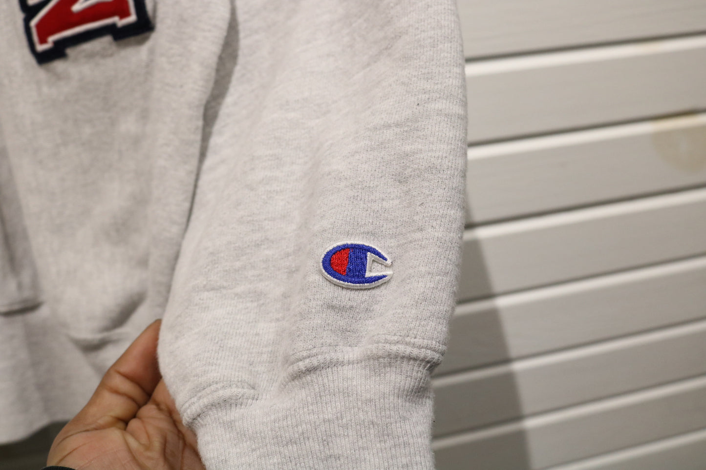 Champion Dickinson Sweater | Vintage 90s College Reverse-Weave Crewneck | Classic Campus Sweatshirt