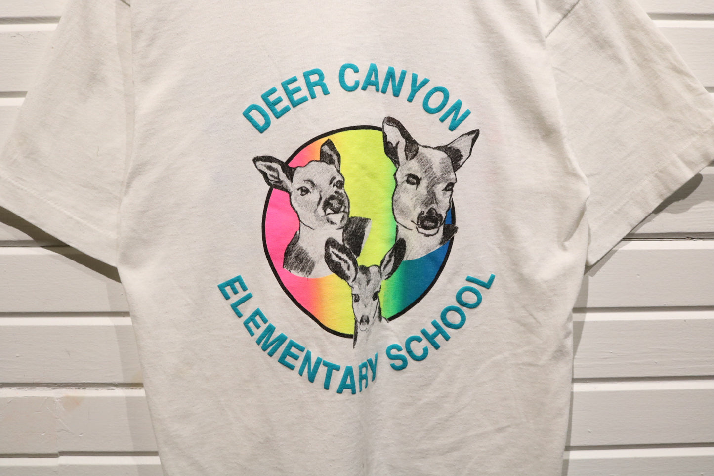 Screen-Stars Best Pedaling-across-California T-Shirt | Vintage 90s Deer Canyon School Cycling Graphic Tee | Retro School Event Shirt