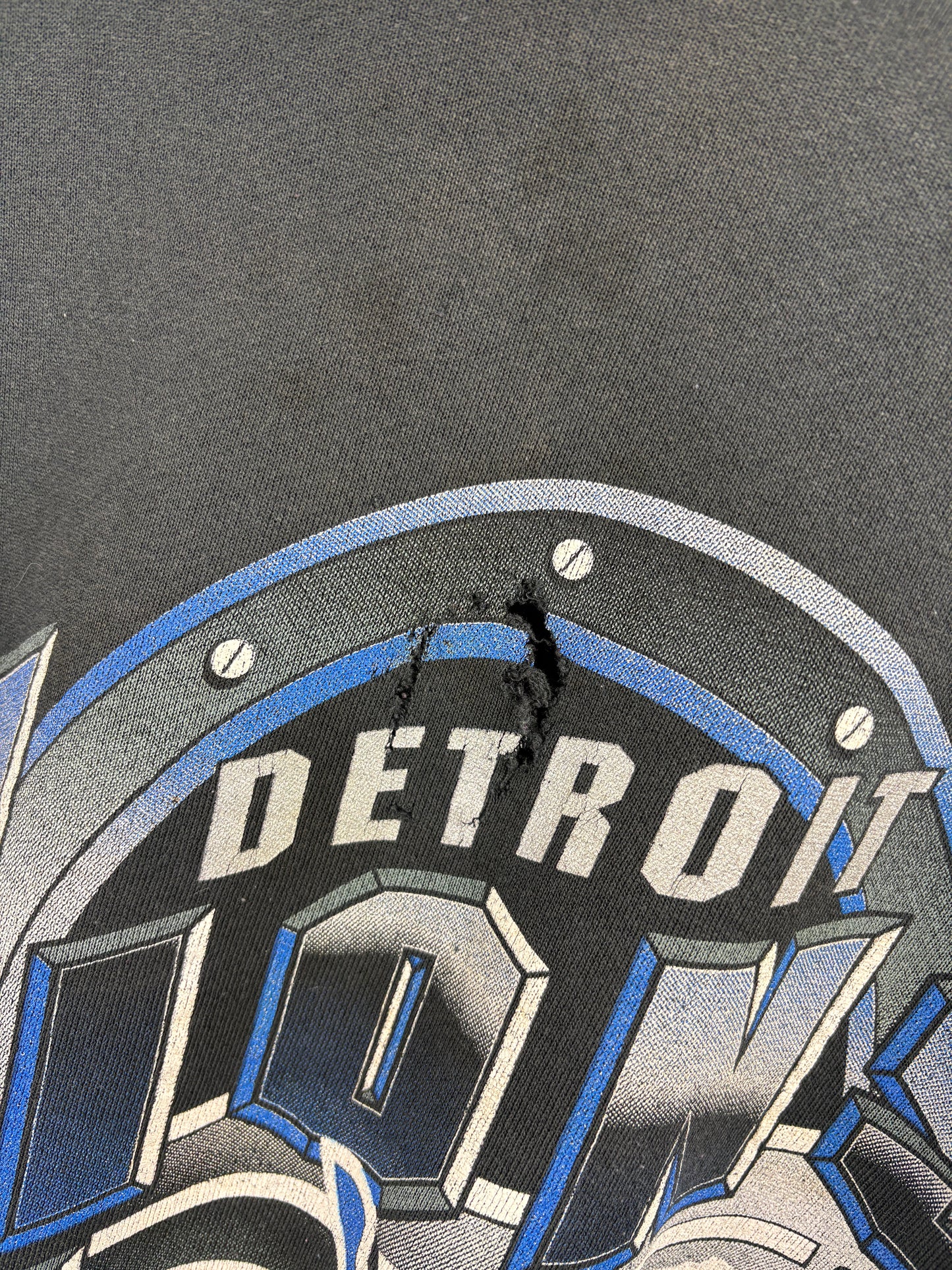 Detroit-Lions Sweatshirt | Vintage 90s NFL Football Graphic Crewneck | Classic Fan Apparel