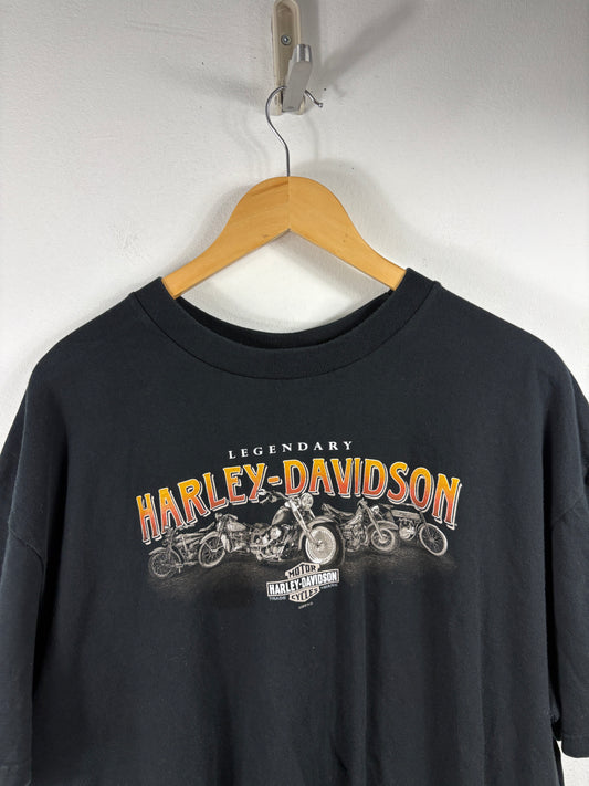 Harley-Davidson T-Shirt | Vintage 2000s Dallas Graphic Biker Tee | Texas Motorcycle Collectible