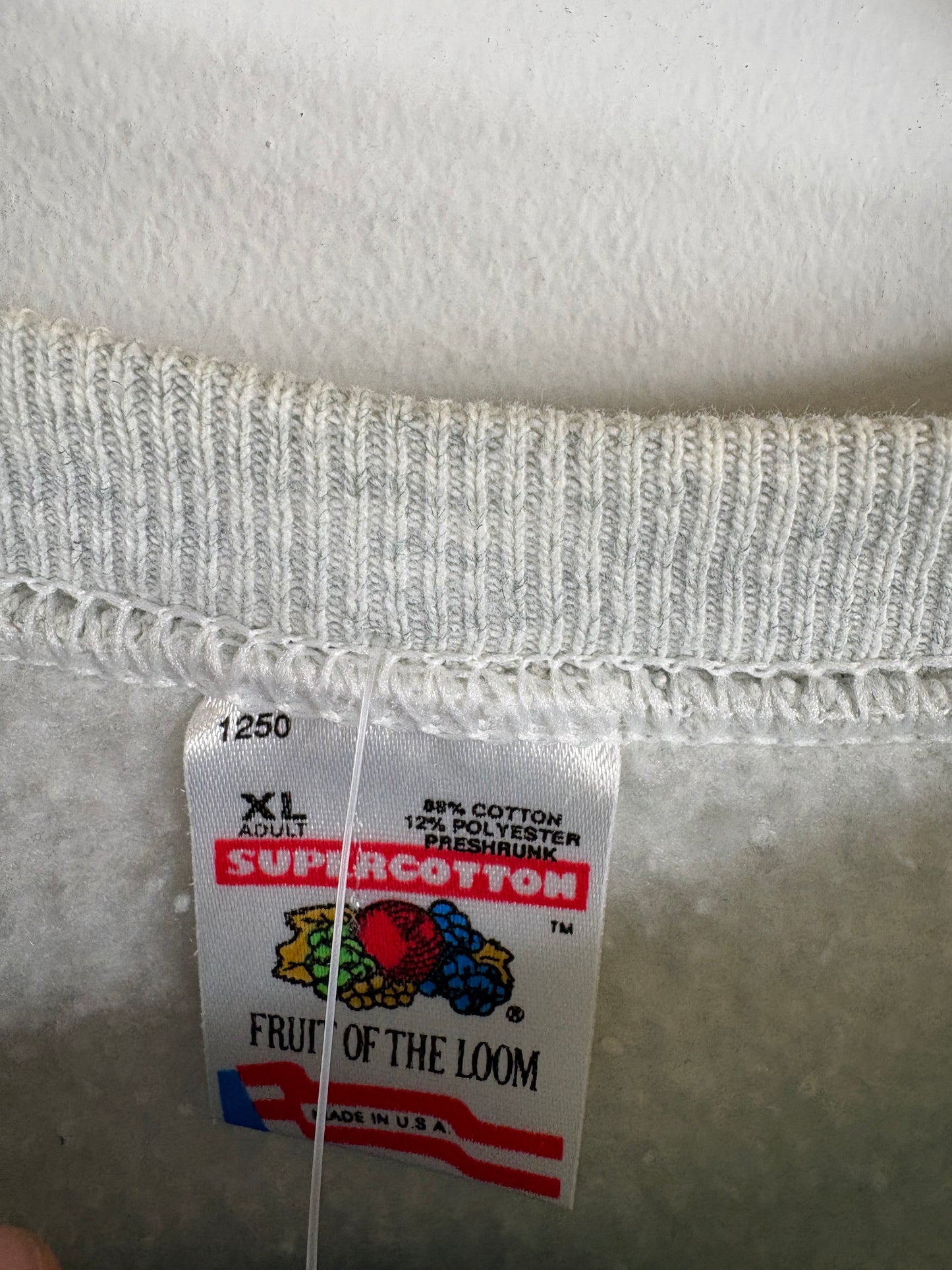 University-At-Albany Sweatshirt | Vintage 1990s Collegiate Crewneck Pullover | Classic Campus Spirit Top