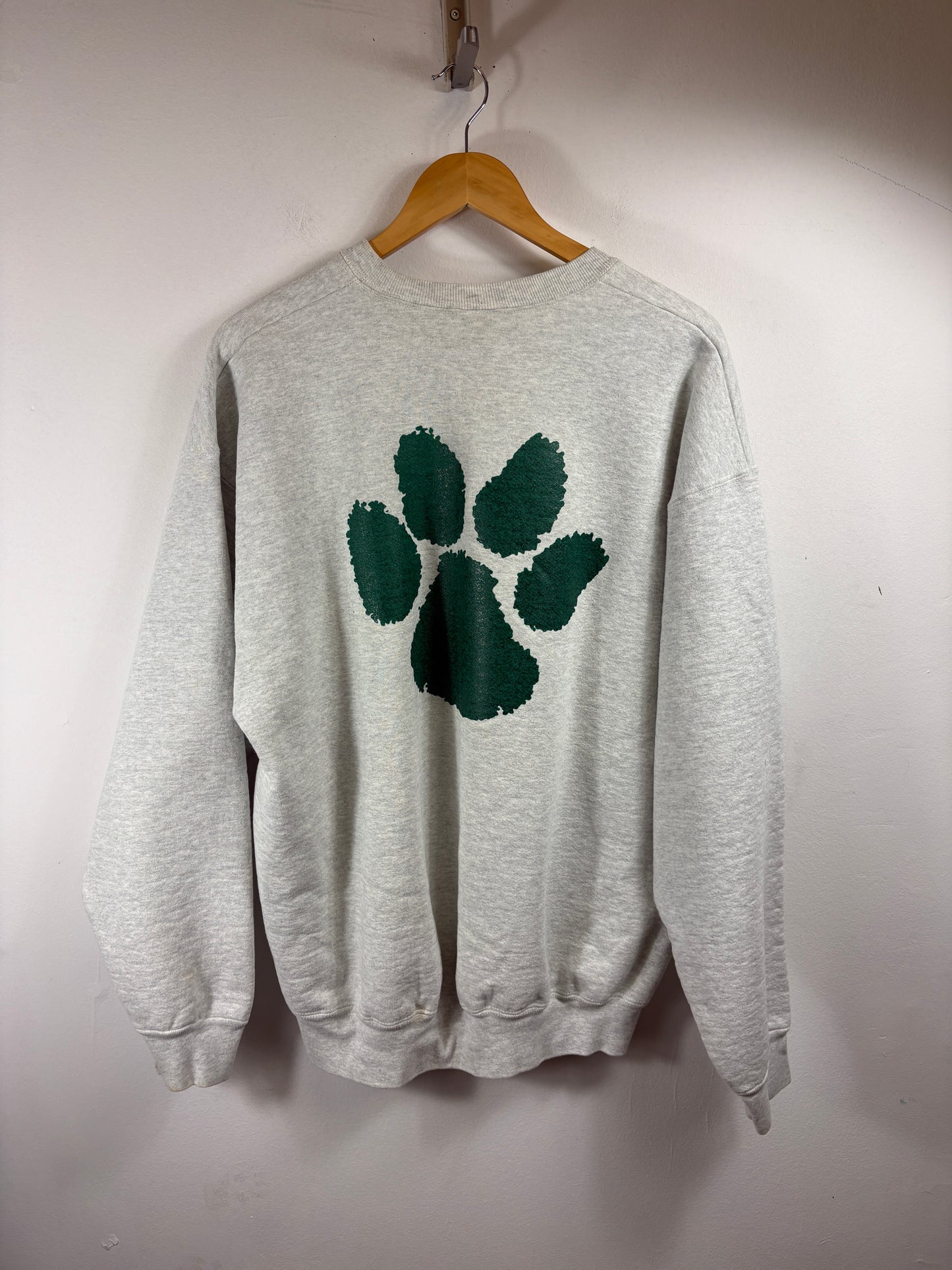 University-At-Albany Sweatshirt | Vintage 1990s Collegiate Crewneck Pullover | Classic Campus Spirit Top