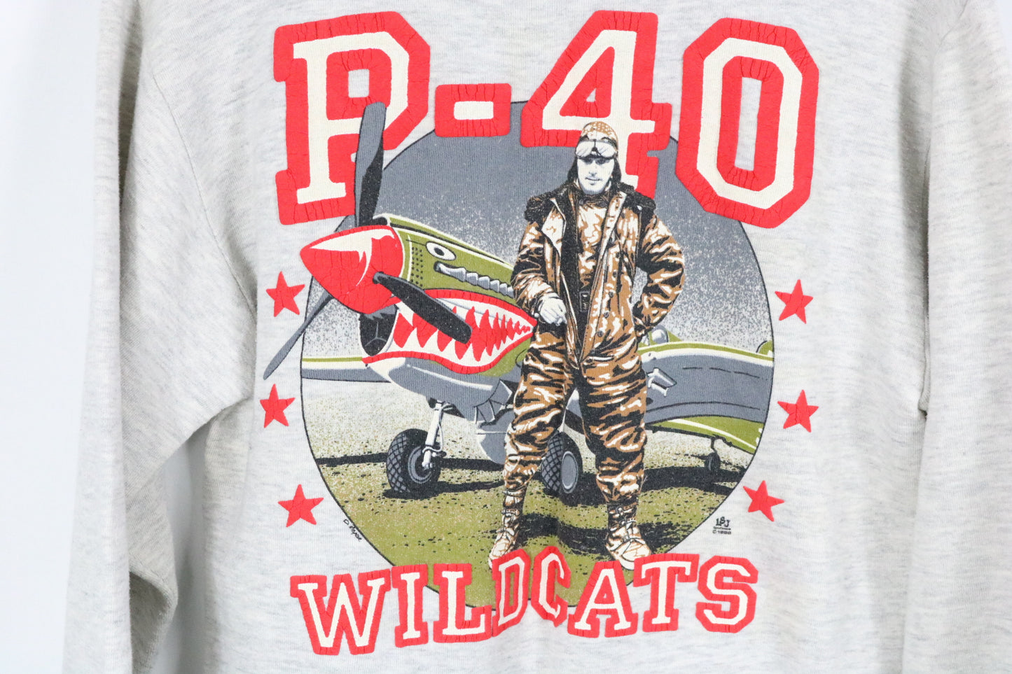 P-40 Wildcats Sweatshirt | Vintage 1990s Flyboys Aviation Graphic Pullover | Military History Crewneck