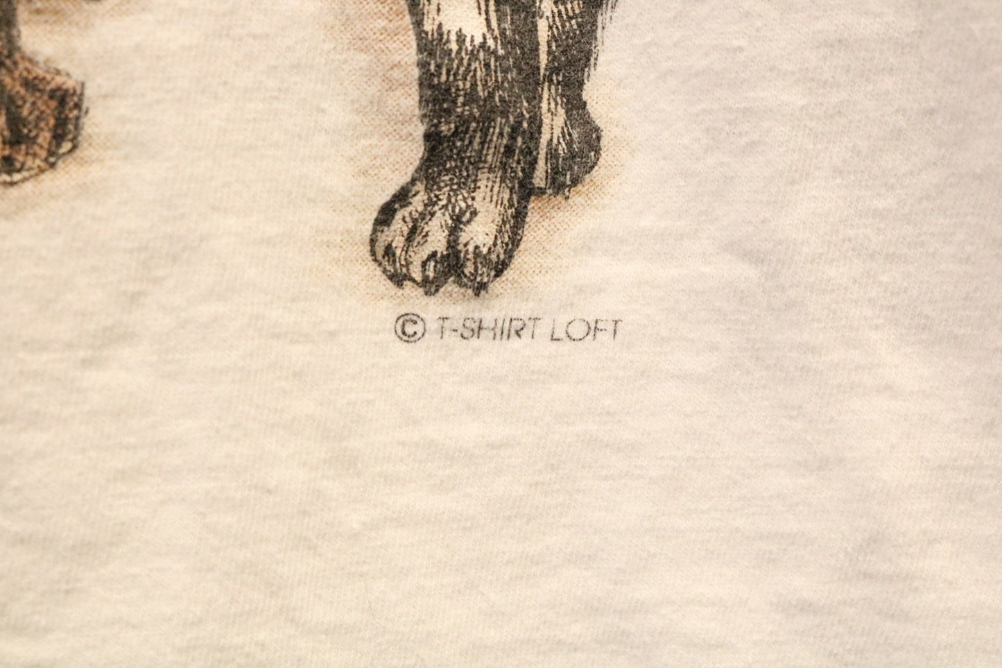 T-Shirt Loft Cat Graphic T-Shirt | Vintage Cat Illustration Tee White | Animal Lover Gift