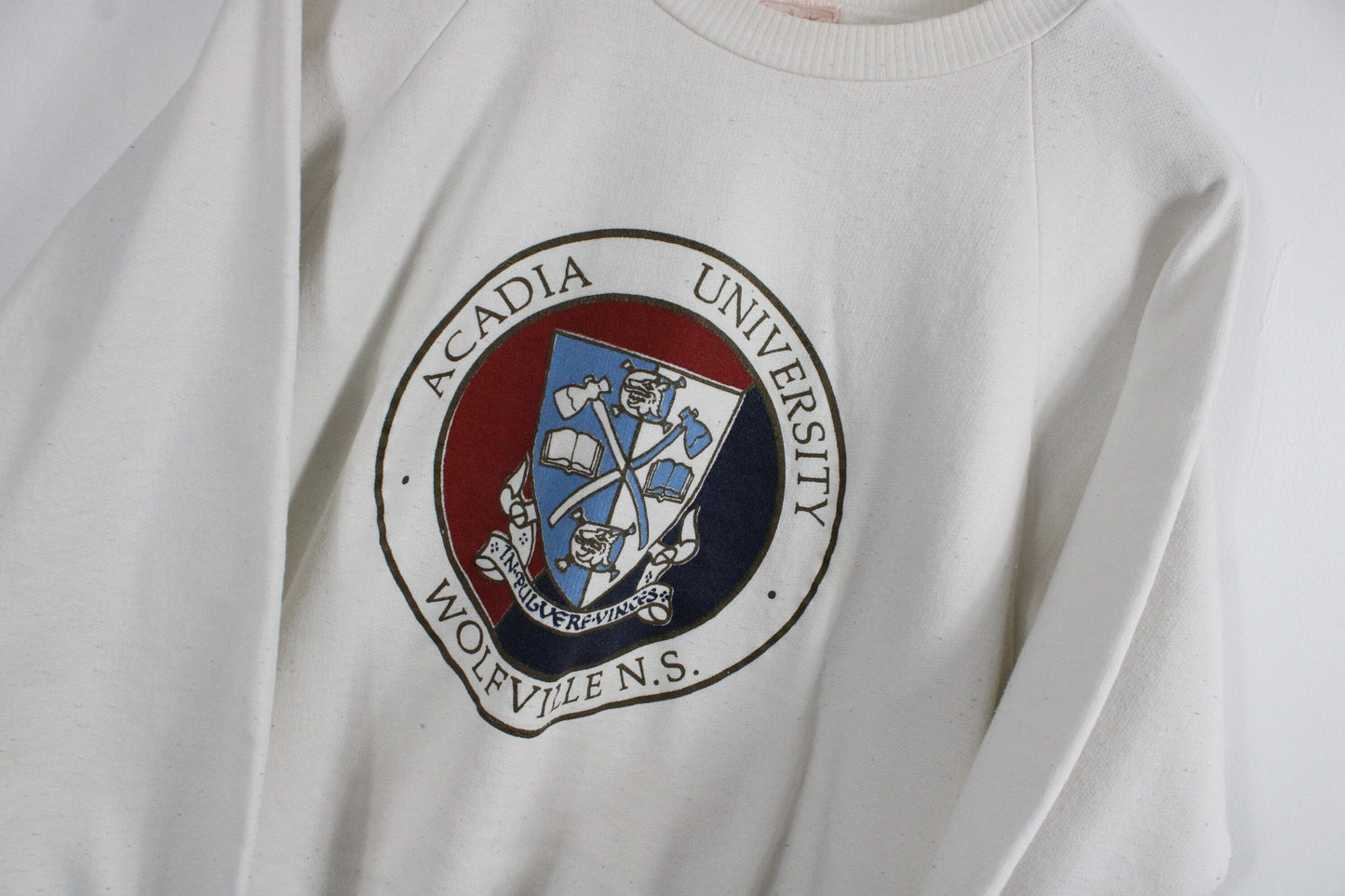 Acadia University Sweater / Vintage Champion Reverse-Weave Sweatshirt / 90s NCAA Rosebowl Sports Team Clothing