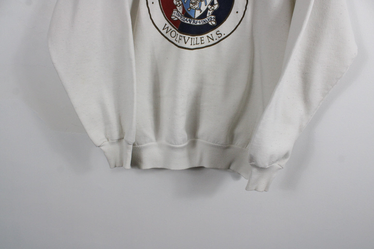 Acadia University Sweater / Vintage Champion Reverse-Weave Sweatshirt / 90s NCAA Rosebowl Sports Team Clothing