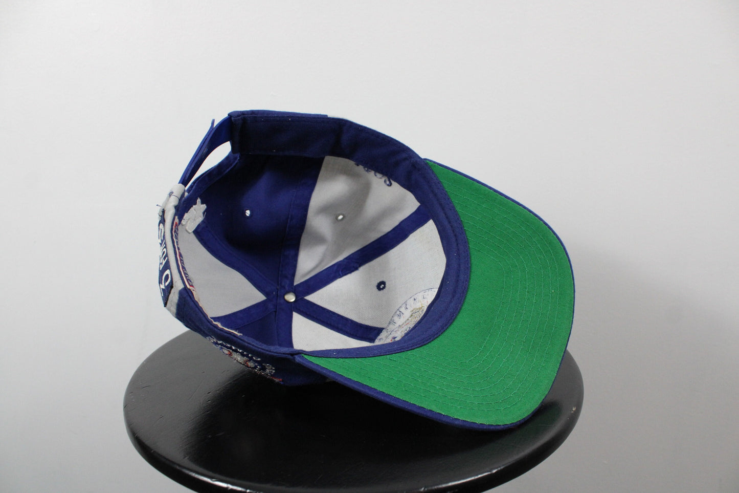 Blue Jays Hat / Vintage Starter Snap-Back Cap / Toronto MLB Baseball Headwear / 90s Athletic Clothing