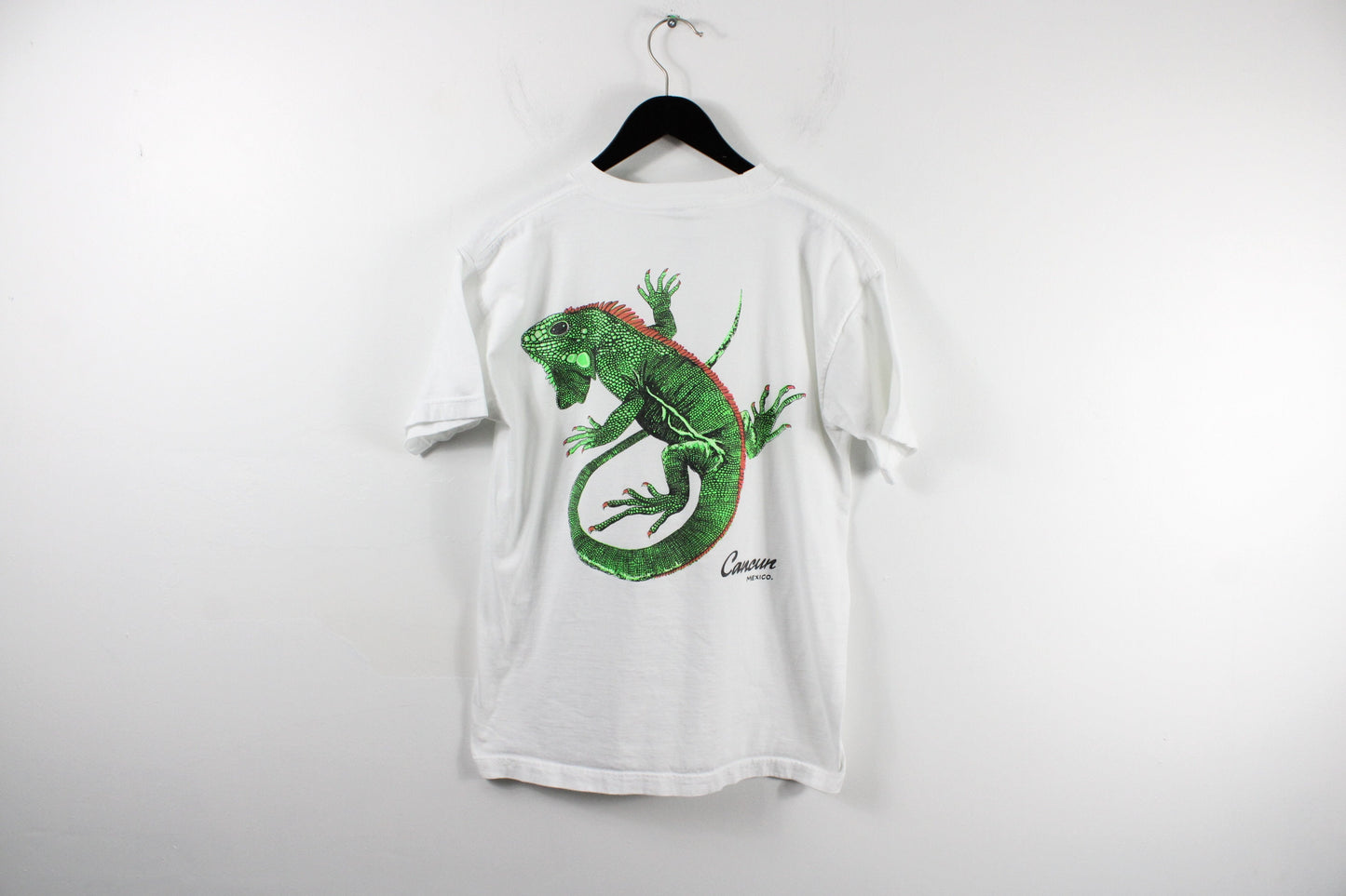 Lizard Art Tee-Shirt / Cancun Mexico Artist Graphic T-Shirt / 90s Vintage Painting