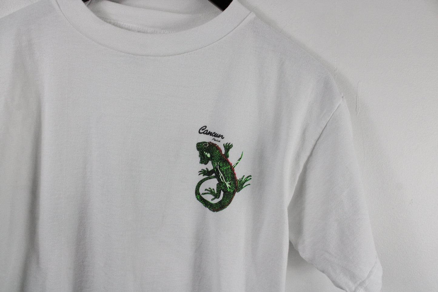 Lizard Art Tee-Shirt / Cancun Mexico Artist Graphic T-Shirt / 90s Vintage Painting