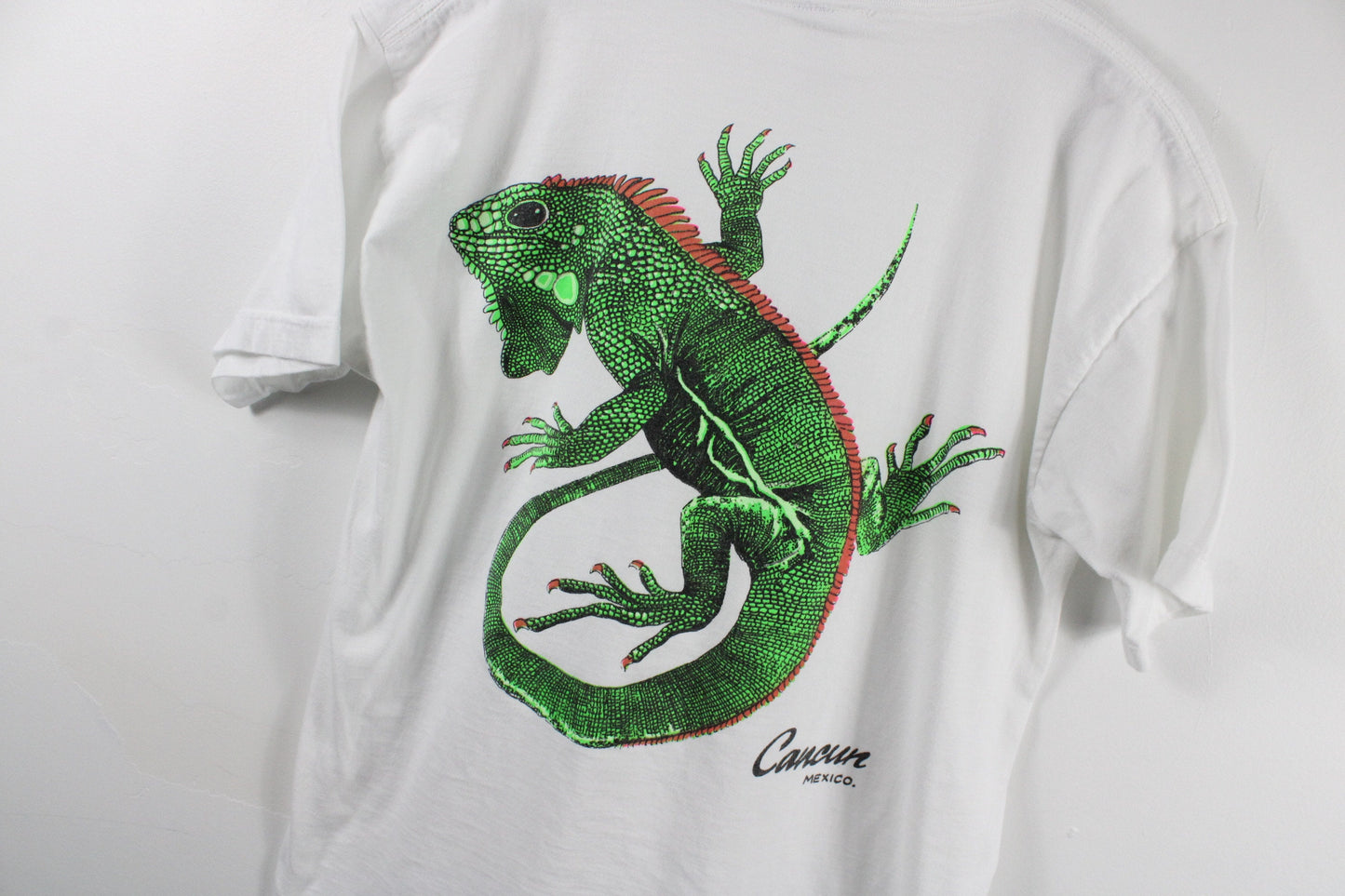 Lizard Art Tee-Shirt / Cancun Mexico Artist Graphic T-Shirt / 90s Vintage Painting