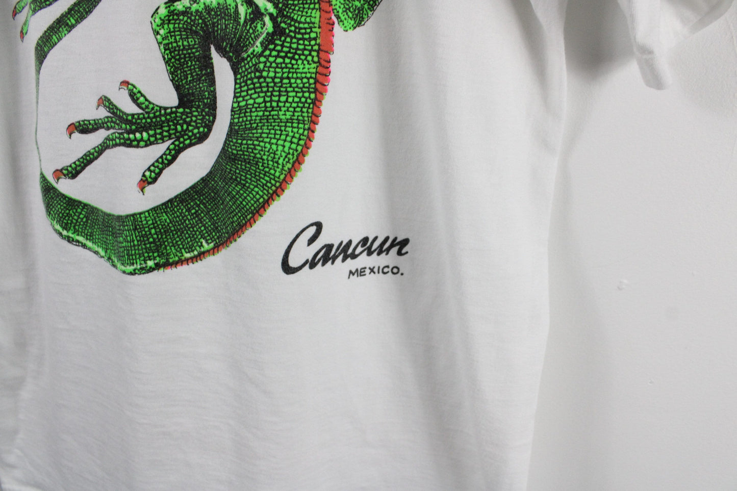 Lizard Art Tee-Shirt / Cancun Mexico Artist Graphic T-Shirt / 90s Vintage Painting