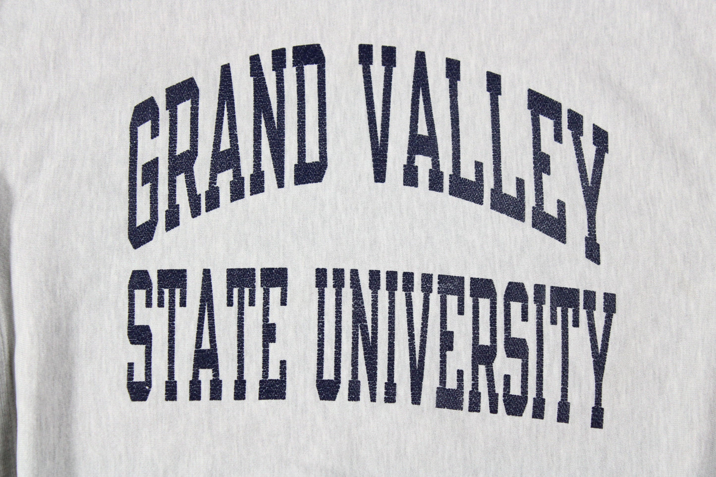 Vintage NCAA Sweater / Grand Valley State University Reverse Weave Hoodie Sweatshirt / Vintage 90s Rosebowl Champion Sports Team Graphic