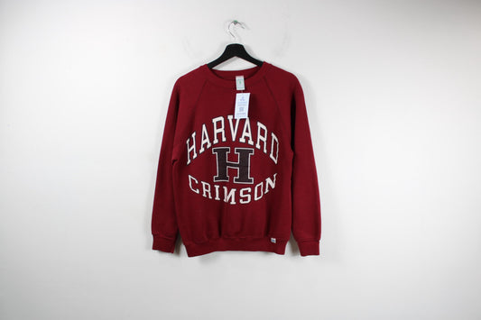 Harvard University Sweater / Vintage Collegiate Campus Sweatshirt / 90s Pullover Crewneck