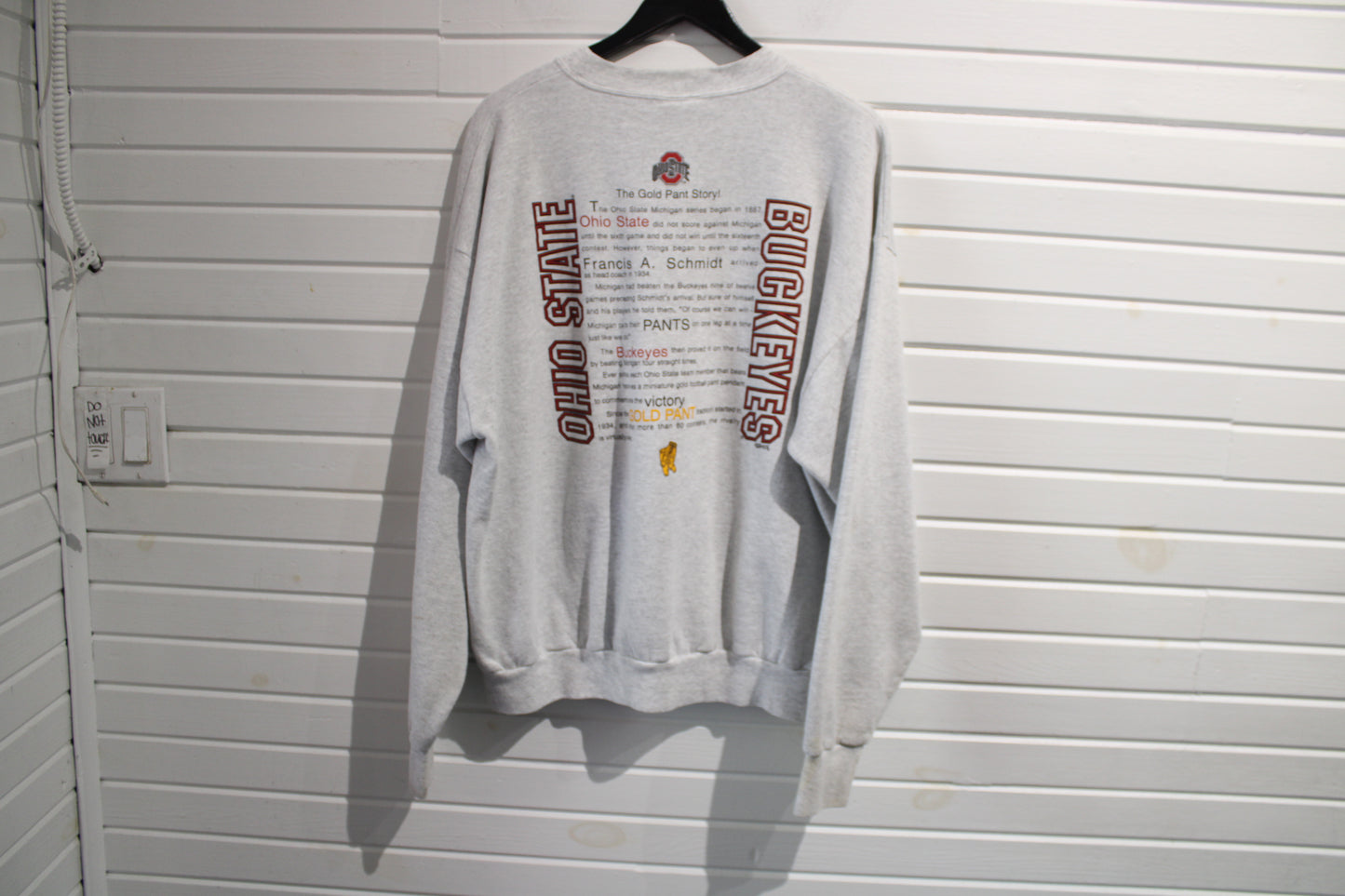 Ohio-State Buckeyes Sweatshirt | Vintage 1998 Big Ten Champions Crewneck | Retro College Football Pullover